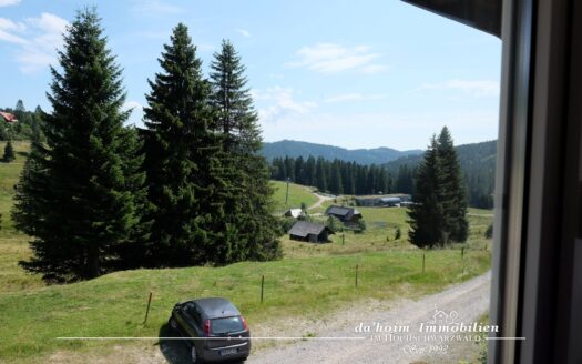 BergWelt – 3-Zimmer Ferienwohnung in Feldberg-Ort