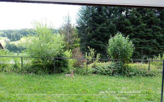 Sommerberg-Brise – 3-Zimmer-Wohnung in Feldberg