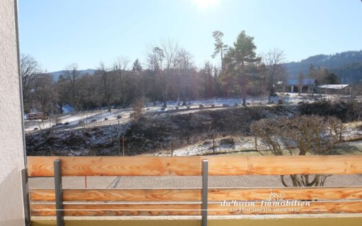 See-Apartment in Schluchsee