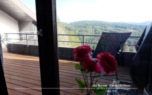 2-Zimmer ETW Augenweide in Feldberg-Falkau