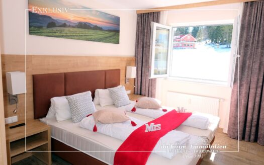Passhöhen-Loge 2-Zi. ETW in Feldberg