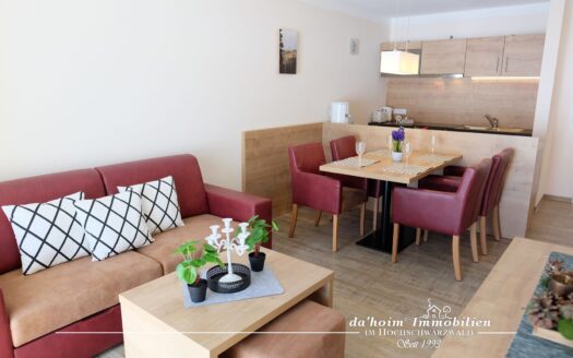 Passhöhen-Loge 2-Zi. ETW in Feldberg