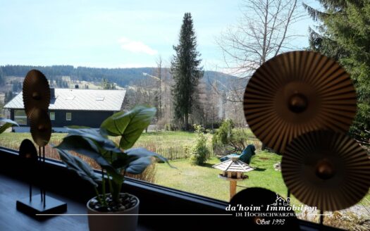 Terrassen-Herz 2-Zimmer ETW in Feldberg-Falkau