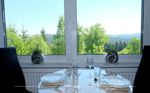 Felsapartment in Bärental