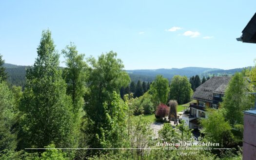 Felsapartment in Bärental