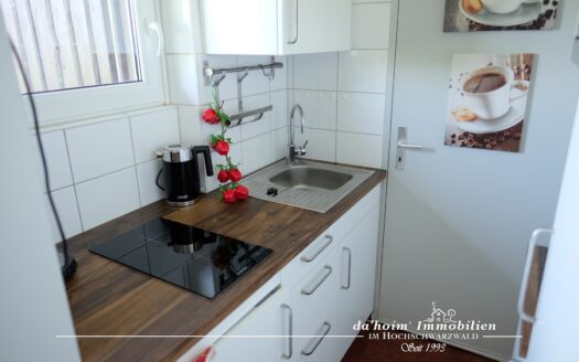 Felsapartment in Bärental