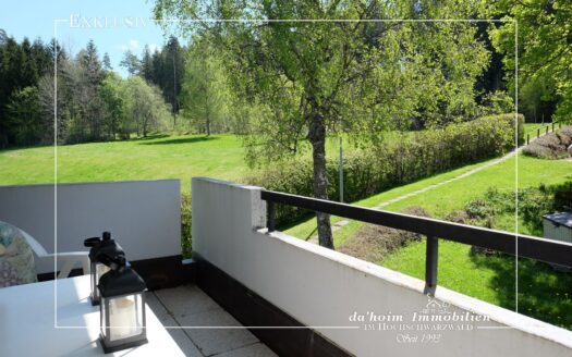 2-Zi-ETW Waldpark in Schluchsee