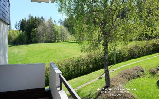 2-Zi-ETW Waldpark in Schluchsee