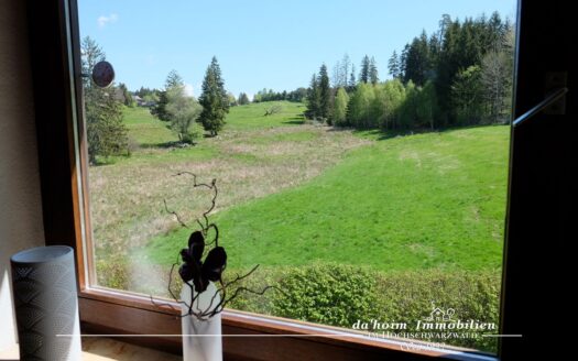 2-Zi-ETW Waldpark in Schluchsee