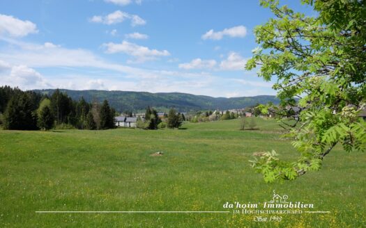 2-Zi-ETW Waldpark in Schluchsee