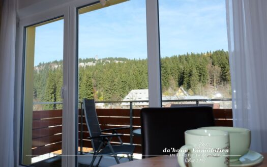 Berg-Liebe Maisonette-Apartment in Feldberg