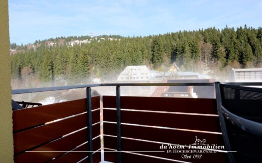 Berg-Liebe Maisonette-Apartment in Feldberg