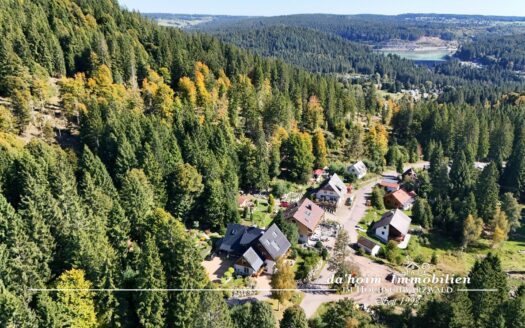 Gästehaus Lebenstraum in Schluchsee-Blasiwald