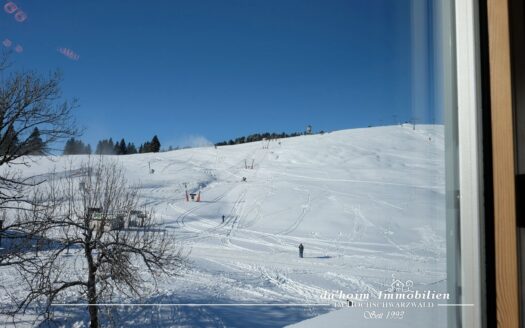 Feldberg-Deluxe 4-Zimmer Residenz