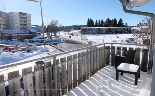 Feldberg-Deluxe 4-Zimmer Residenz