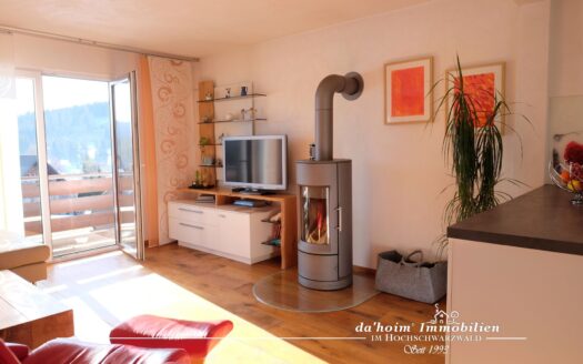 Etagenwohnung Sonnen-Wald in Feldberg-Falkau