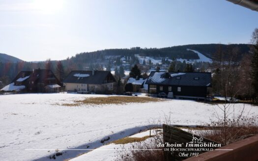 Etagenwohnung Sonnen-Wald in Feldberg-Falkau