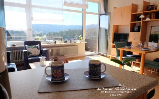 1,5 Zi. ETW Sonnenblick in Lenzkirch-Kappel