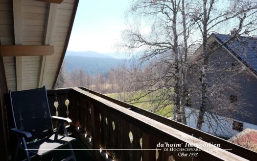 Schwarzwald-Variation mit Ferienwohnungen