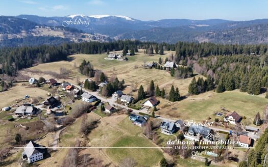 Schwarzwald-Variation mit Ferienwohnungen