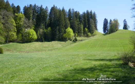 Bauplatz *exquisit* in Hinterzarten