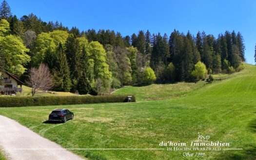 Bauplatz *exquisit* in Hinterzarten