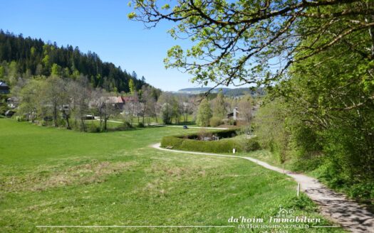 Bauplatz *exquisit* in Hinterzarten