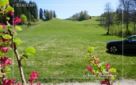 Bauplatz *exquisit* in Hinterzarten