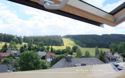 Eigentumswohnung Kuschel-Nest in Feldberg-Altglashütten